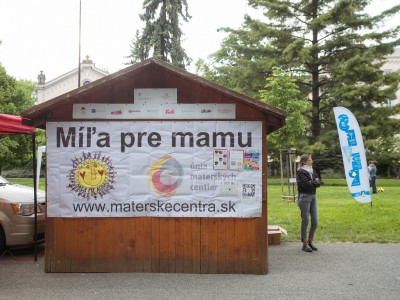 Vyber Mla pre mamu 102 resize