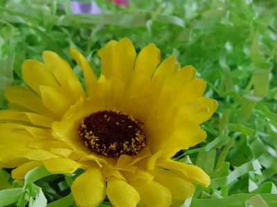 IMG 20250404 152053