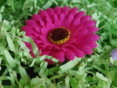 IMG 20250404 152059