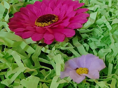 IMG 20250404 152120