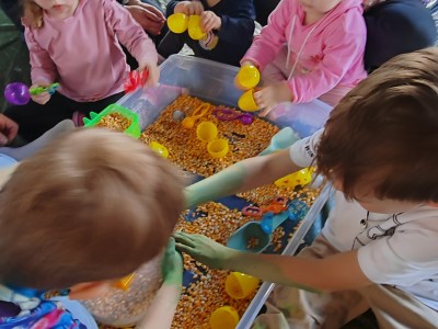 IMG 20250404 164734