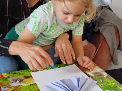 IMG 20250911 104732