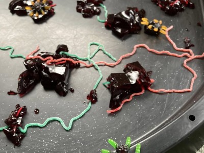 558051558 811898988264801 7014150473723981739 n