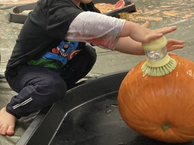 566341900 811899128264787 2771548936967423737 n