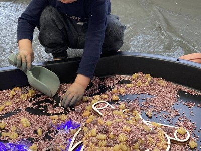 571190984 811898571598176 5257215513043590555 n