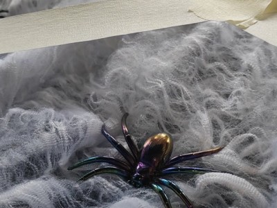 569055676 811897178264982 522849084165135022 n