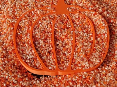 570159693 811897258264974 847152951749694527 n