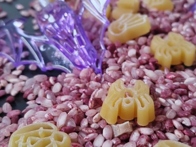 571263544 811897174931649 4241269355146332316 n