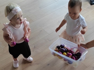 557503087 794272090027491 3841471684019844068 n