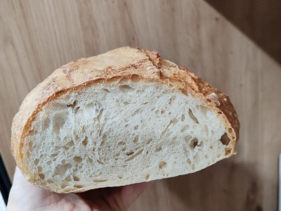 626319245 2446003682521902 817042821232542886 n