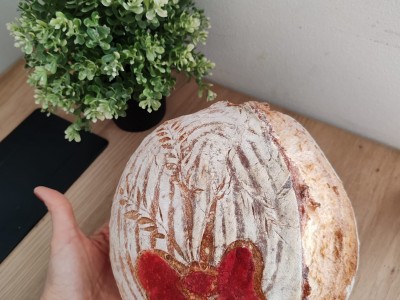 PHOTO 2026 03 24 12 18 55