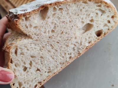 PHOTO 2026 03 24 12 18 56