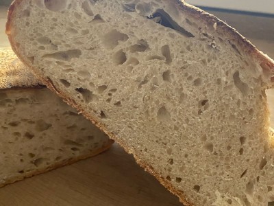 PHOTO 2026 03 29 08 05 31