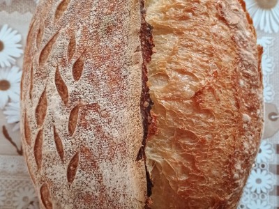 PHOTO 2026 03 28 10 24 39