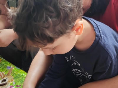 IMG 20260514 103414